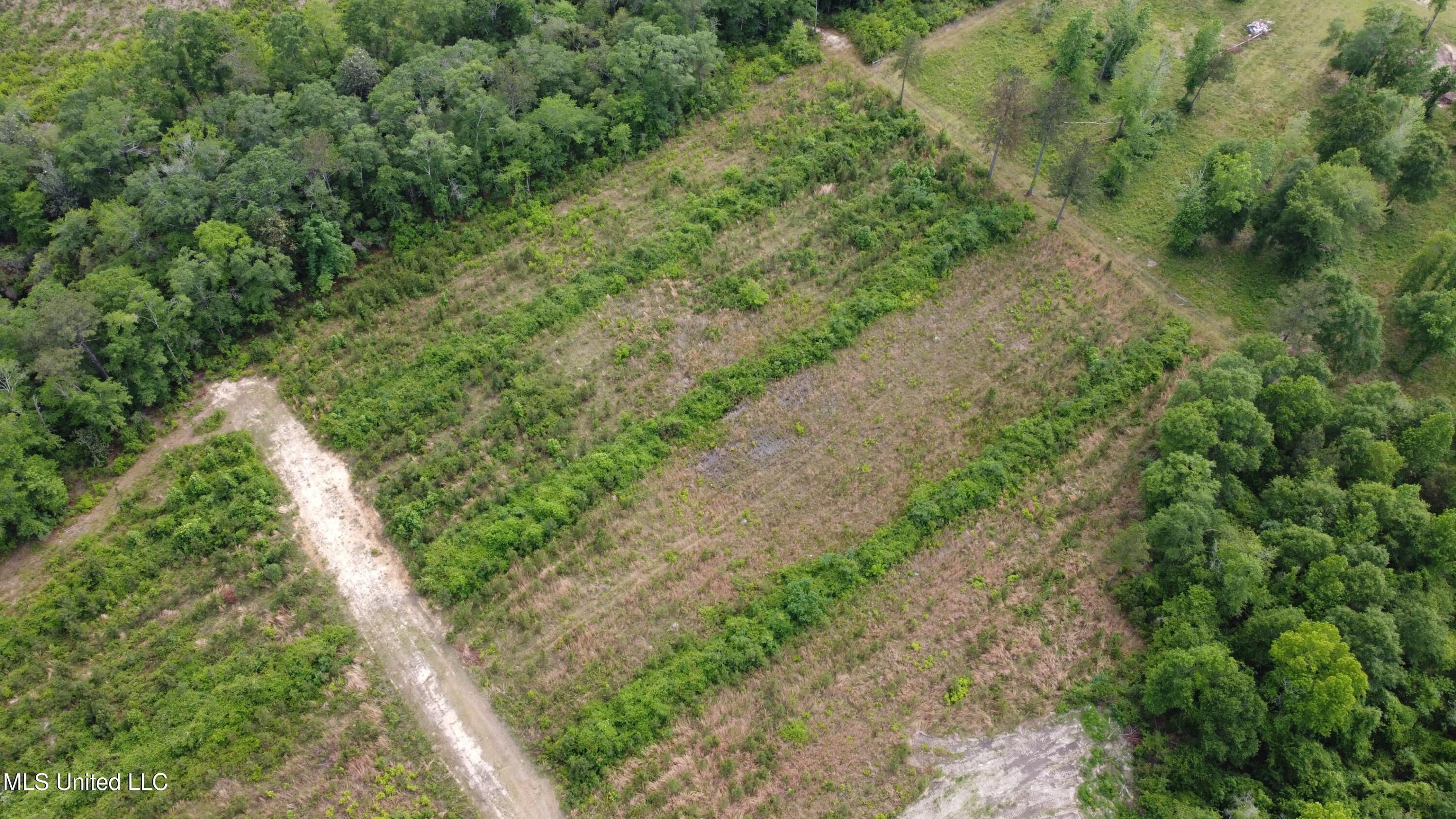 30 Ten Mile Road, Perkinston, Mississippi image 12