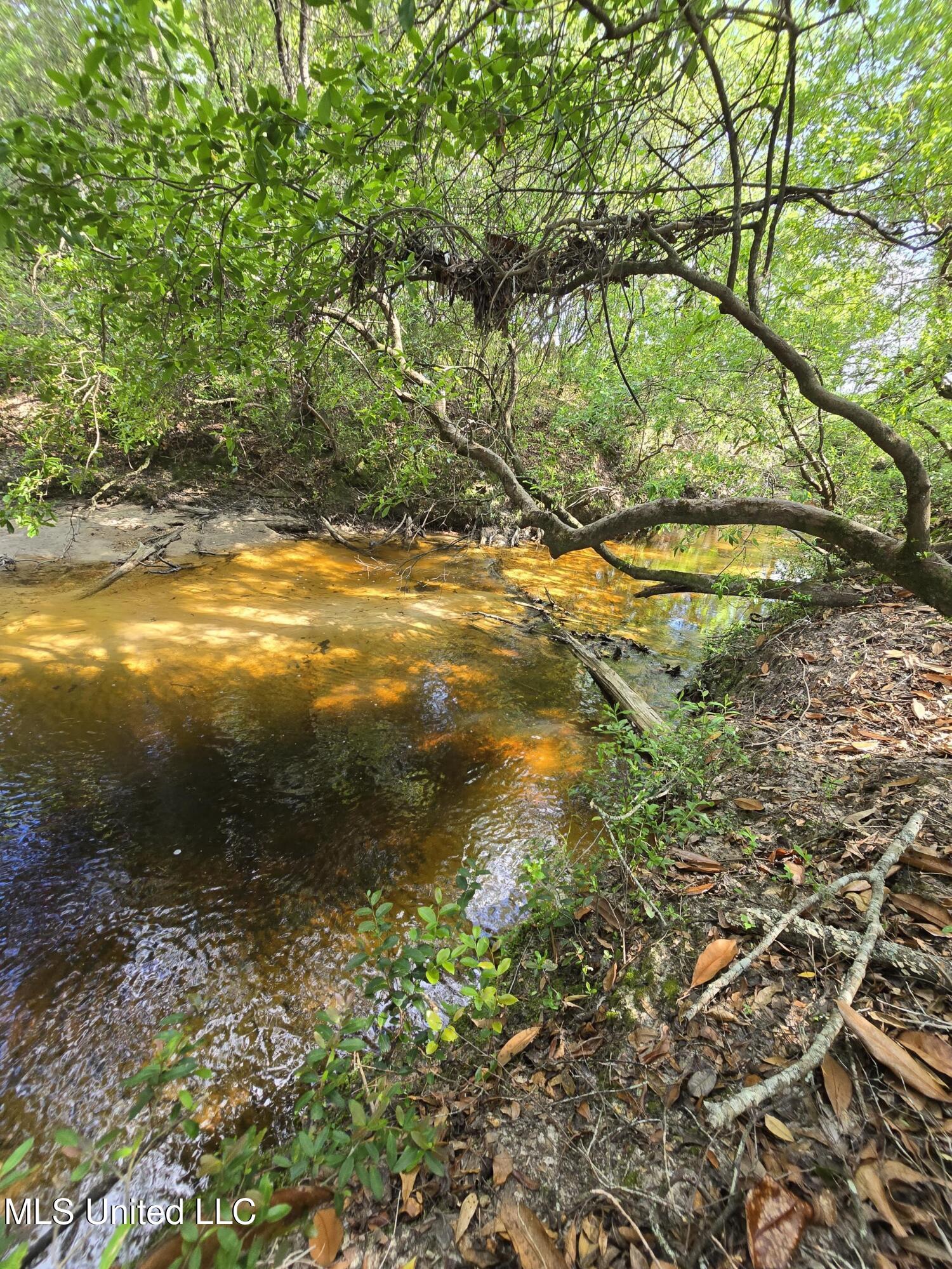 30 Ten Mile Road, Perkinston, Mississippi image 3