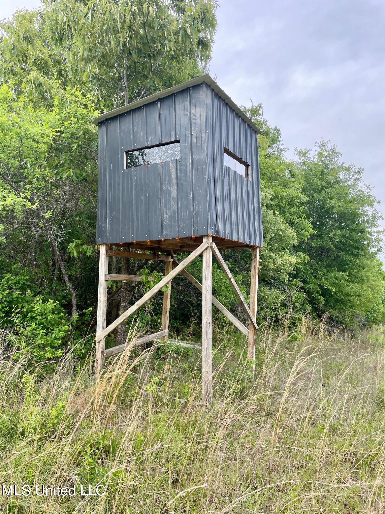 Airport Road, Newton, Mississippi image 9