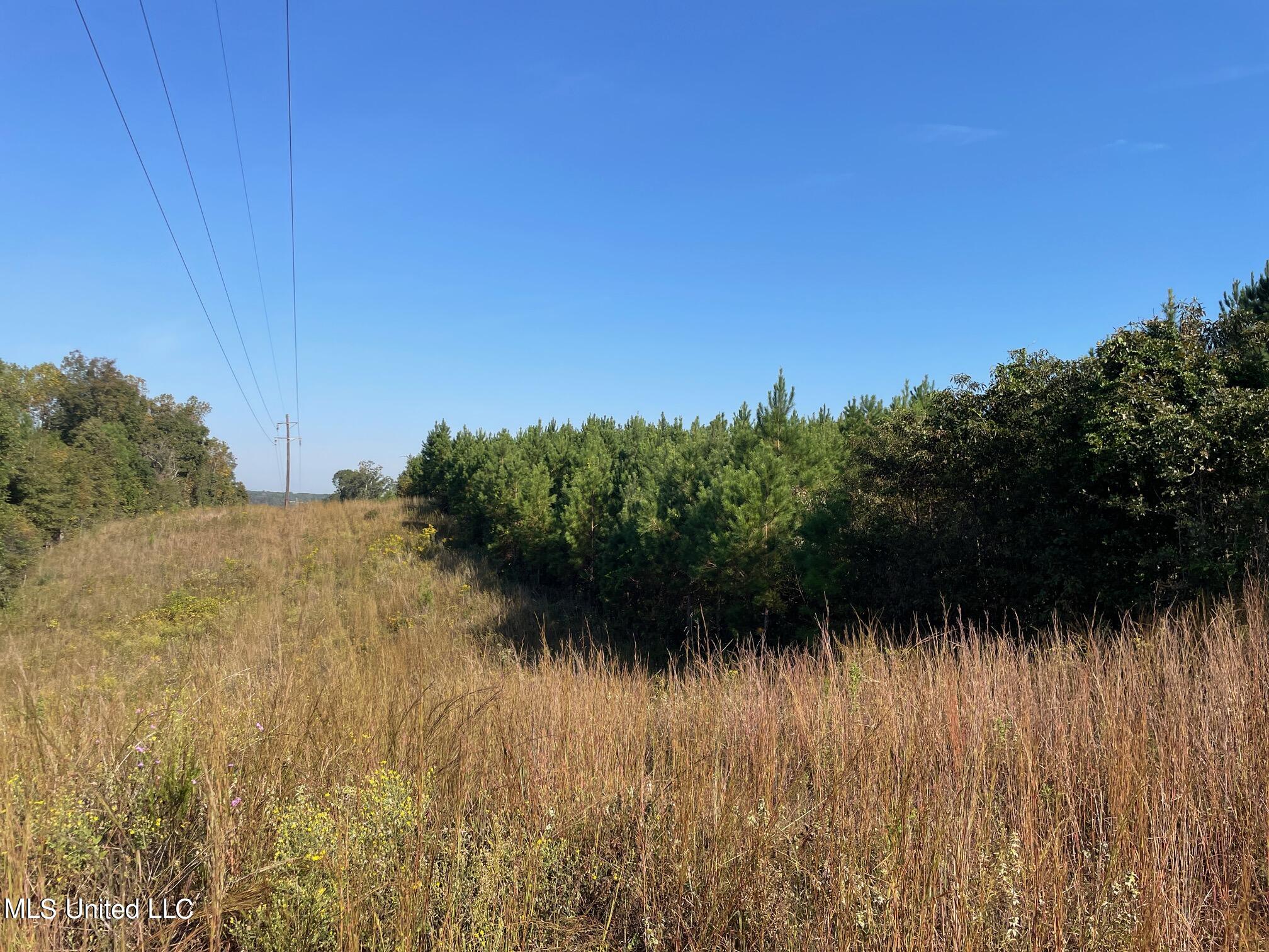 Airport Road, Newton, Mississippi image 7