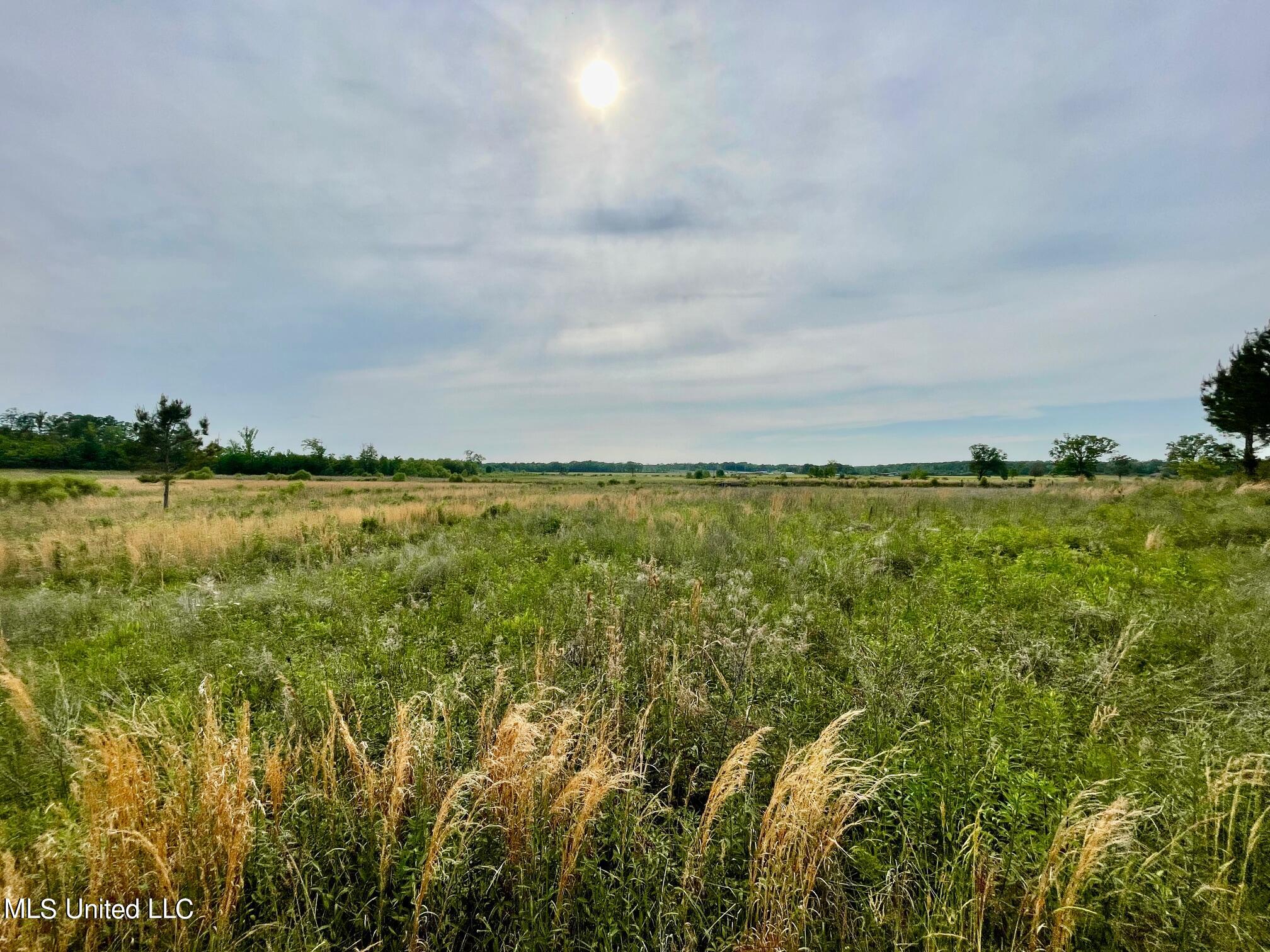 Airport Road, Newton, Mississippi image 1