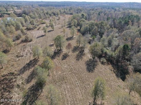 Vacant Land For Sale - 000 Greenland Road<br/> Newton County, Little Rock, MS 39337