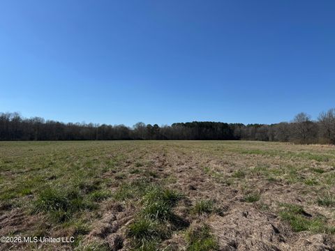 Vacant Land For Sale - 29 Sontag-nola Road<br/> Lawrence County, Sontag, MS 39665
