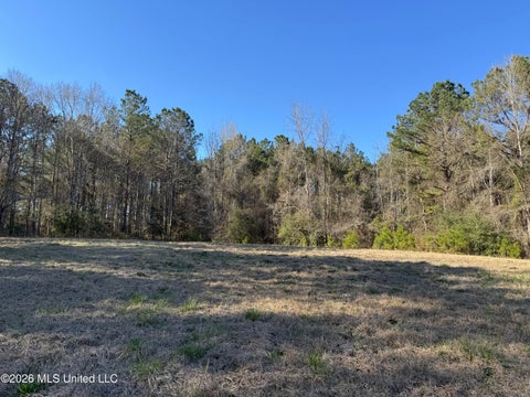 Vacant Land For Sale - 29 Sontag-nola Road<br/> Sontag, MS 39665
