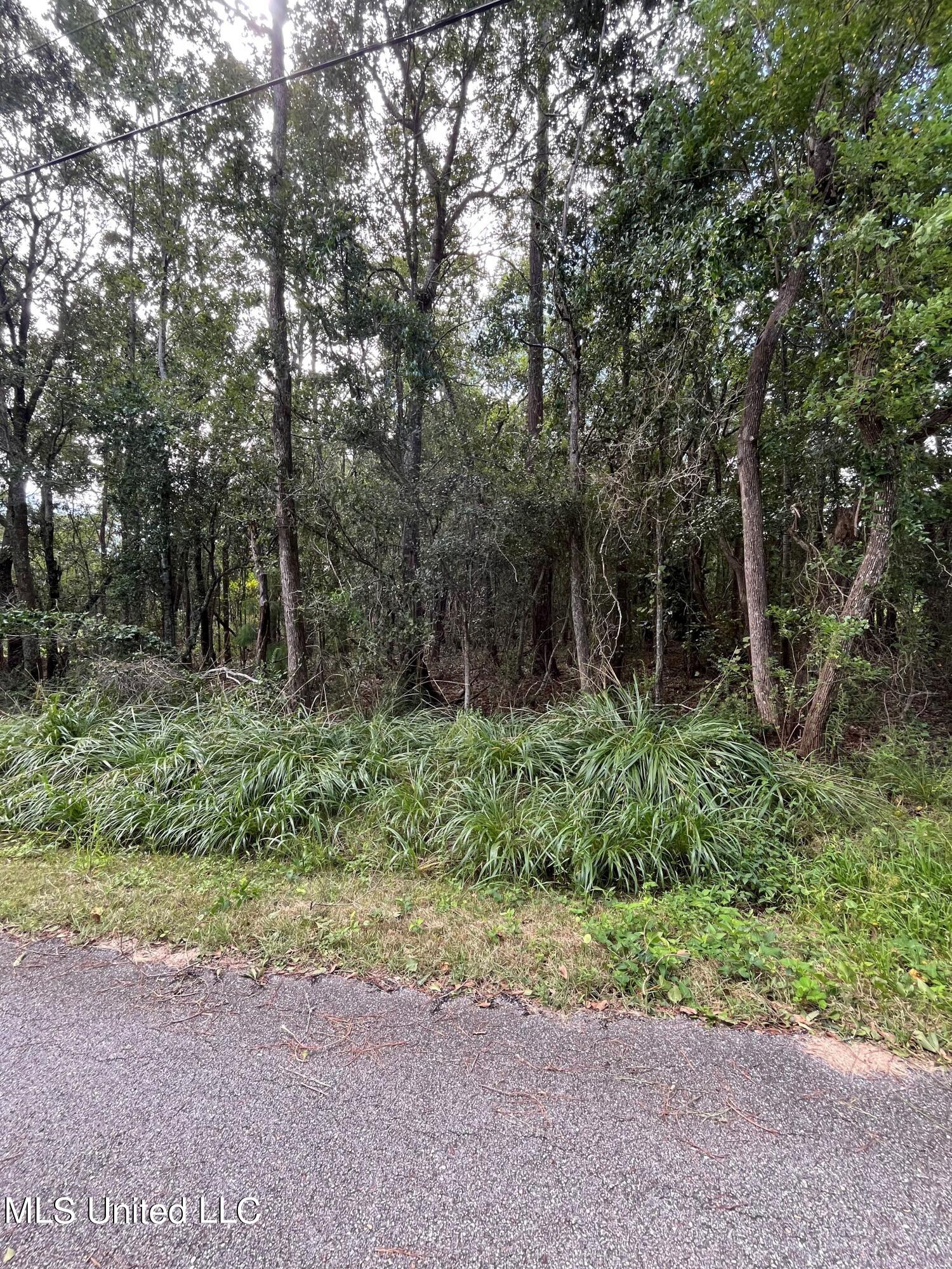 Bullock Avenue, Biloxi, Mississippi image 1