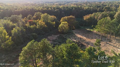 Vacant Land For Sale - 6 Tyro Branch Cove<br/> Tate County, Senatobia, MS 38668