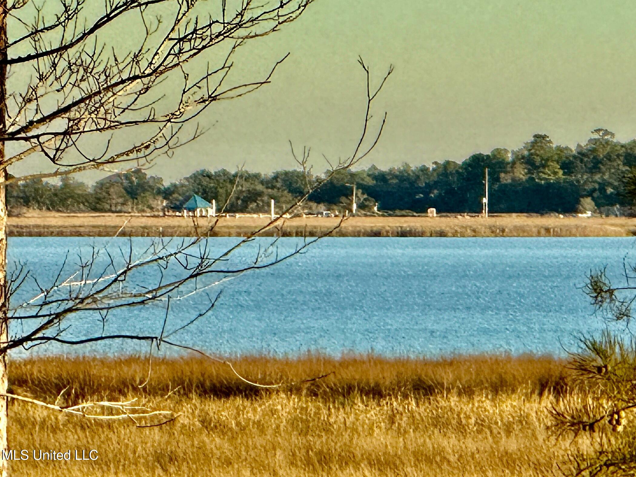 6301 Mary Mahoney Drive, Ocean Springs, Mississippi image 3