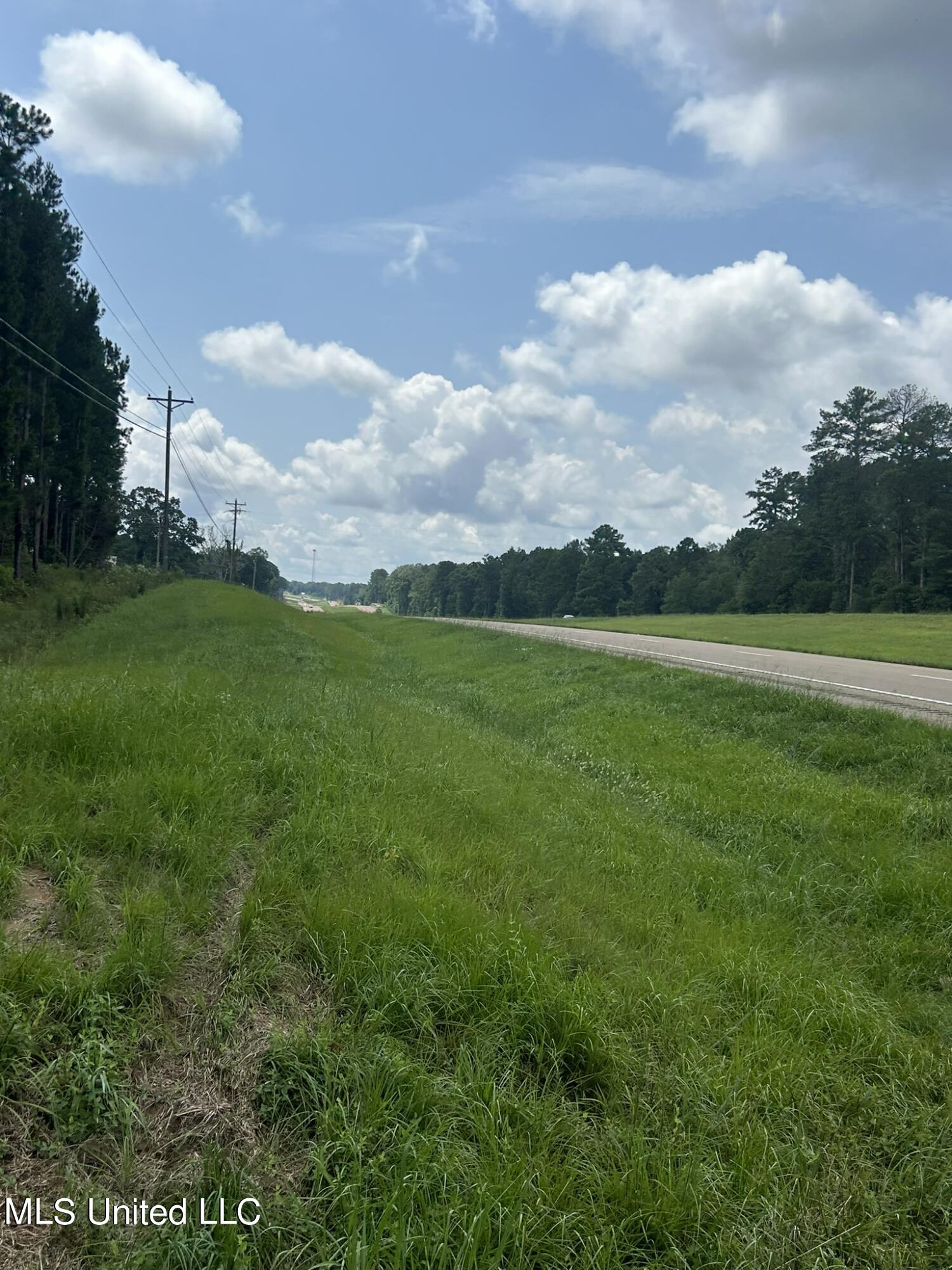 Highway 49 N, Mount Olive, Mississippi image 24