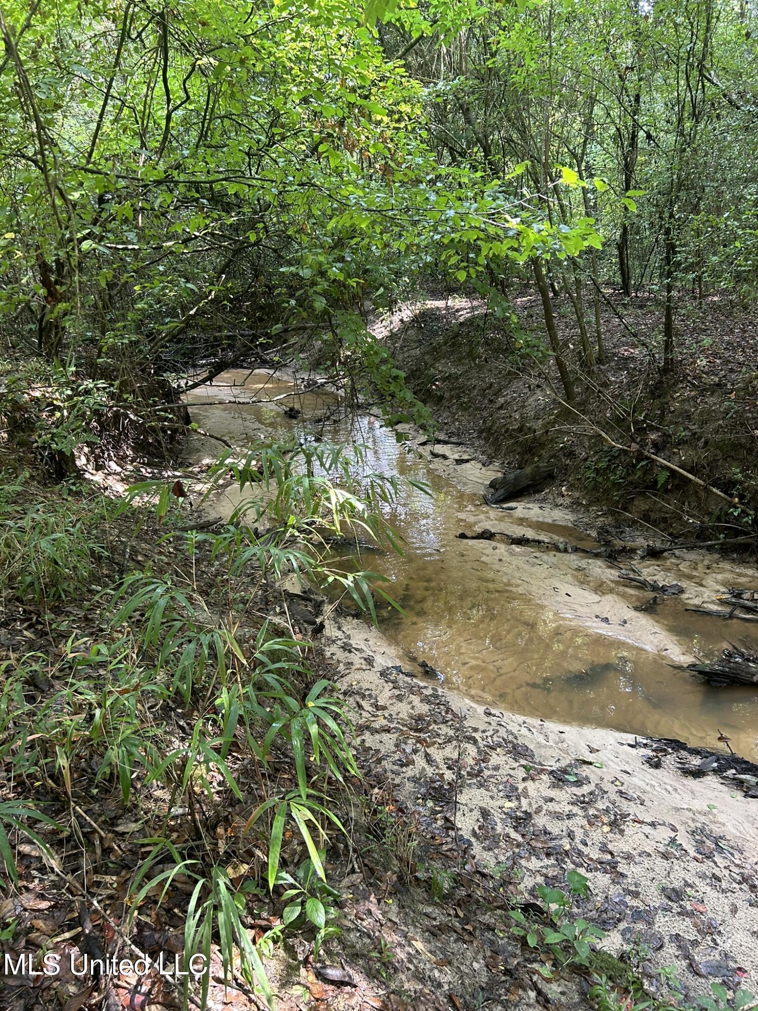 Highway 49 N, Mount Olive, Mississippi image 9