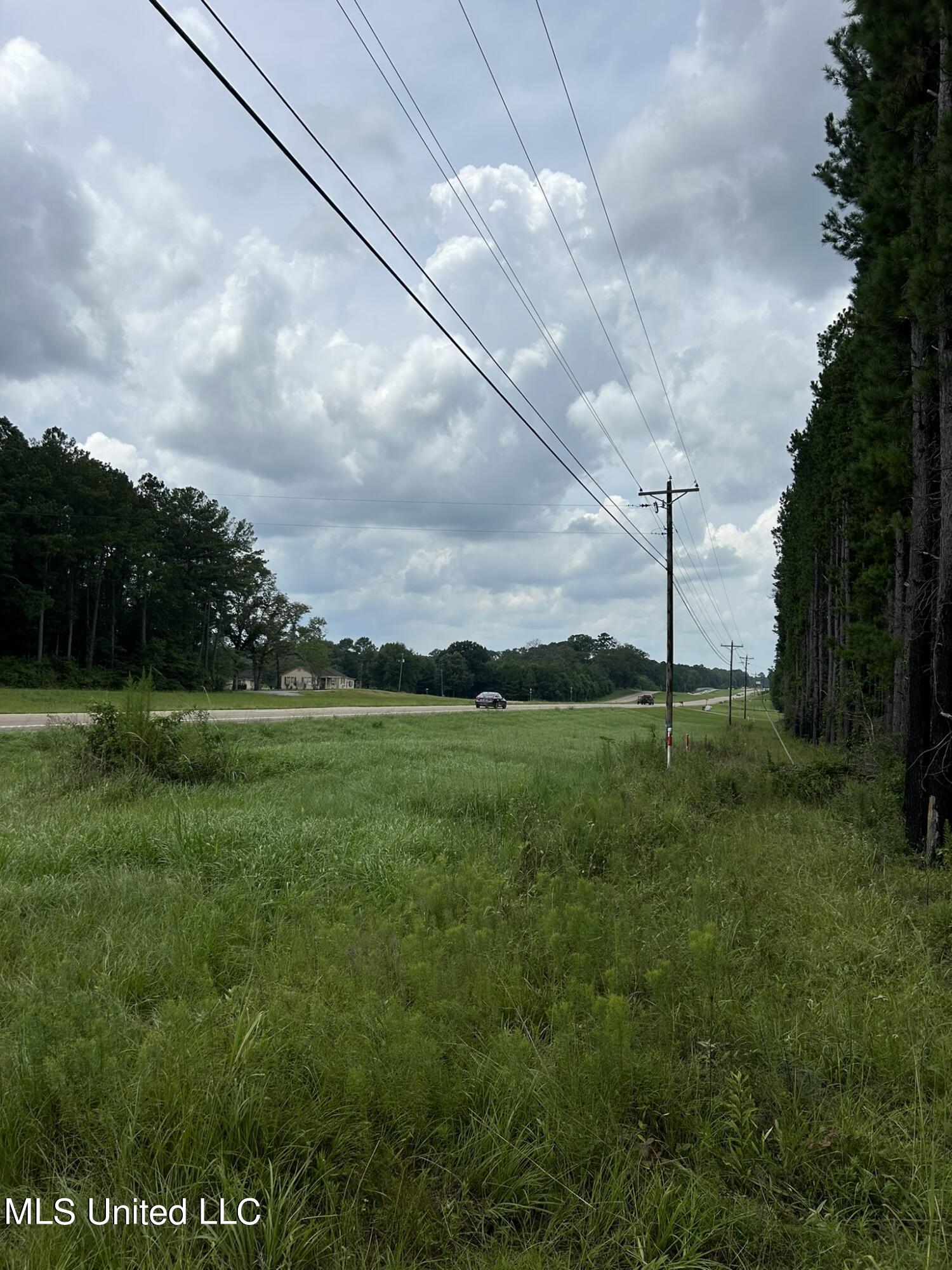 Highway 49 N, Mount Olive, Mississippi image 26