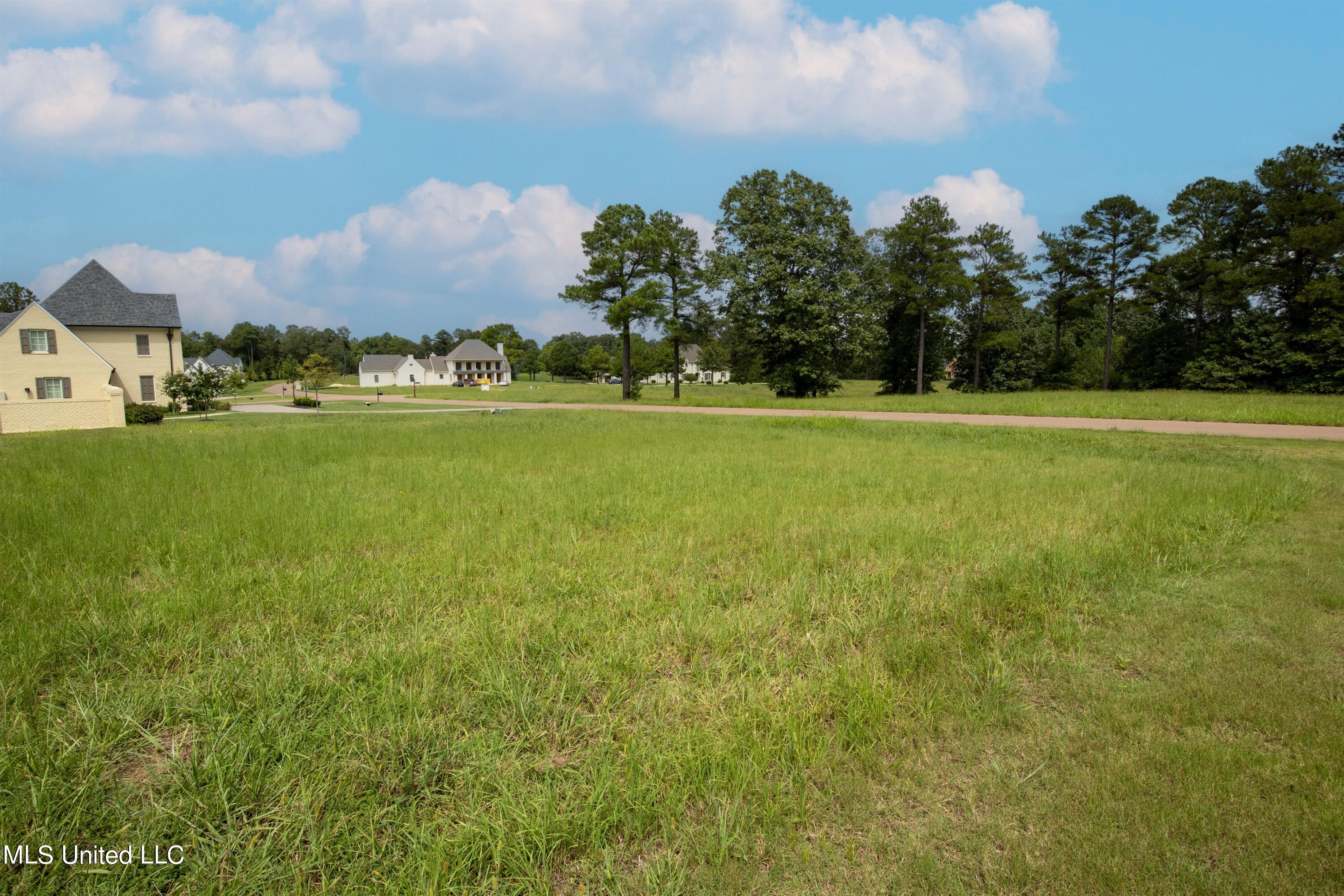 5959 Ginners Lane, Hernando, Mississippi image 8