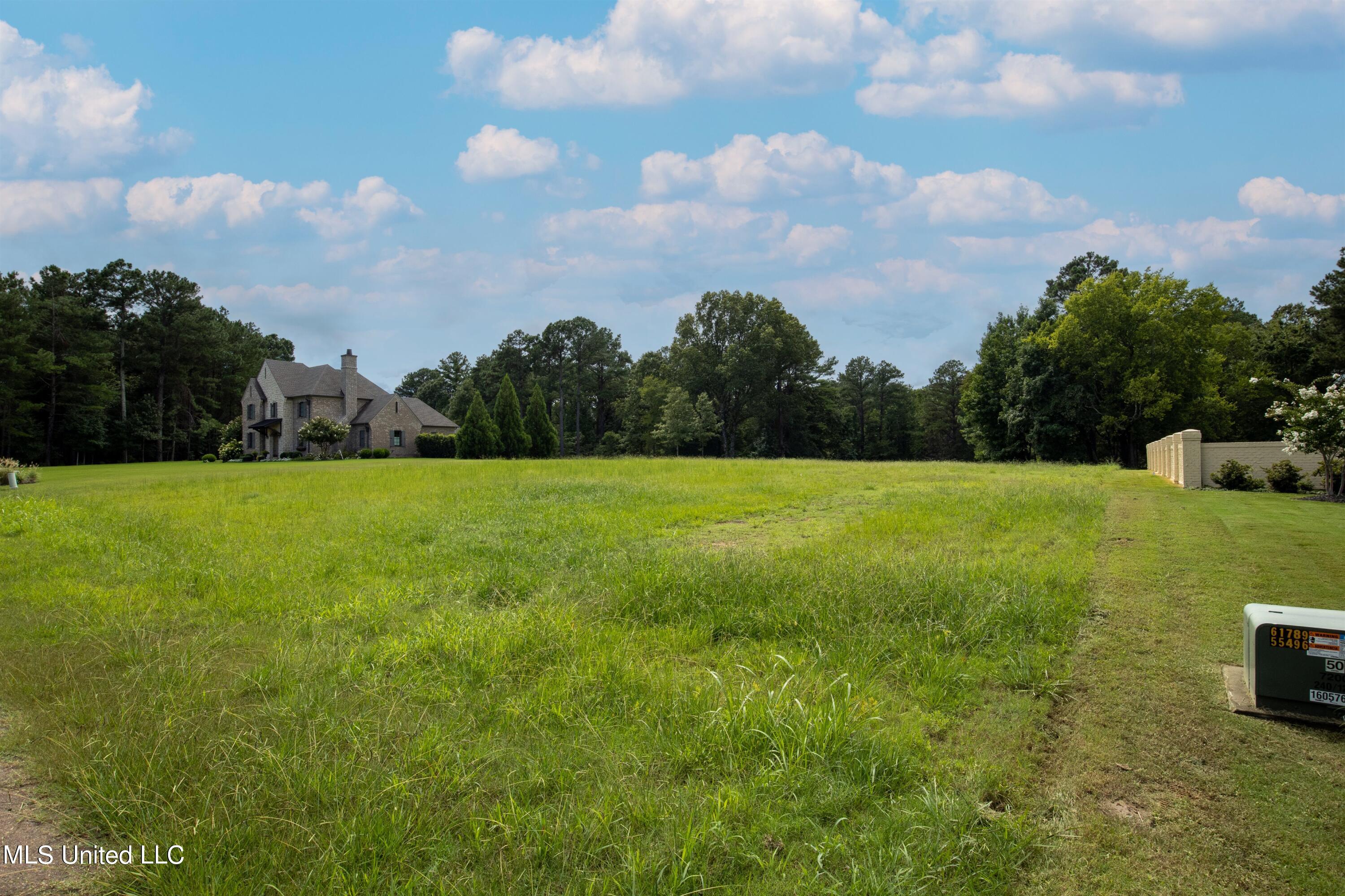 5959 Ginners Lane, Hernando, Mississippi image 9