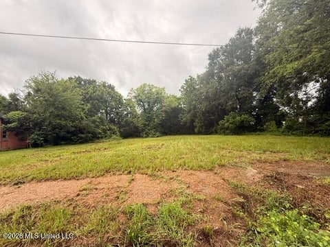 Vacant Land For Sale - Earl Street<br/> Hinds County, Jackson, MS 39203