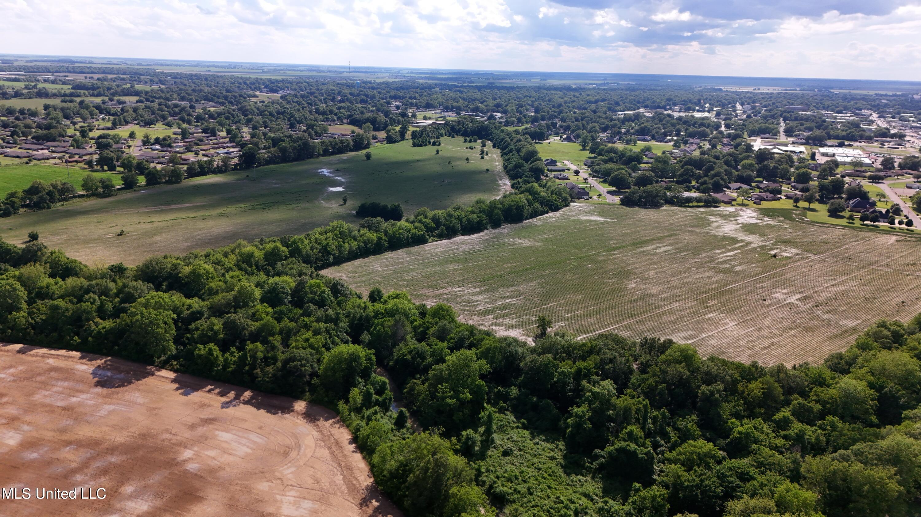 Eastover Drive, Cleveland, Mississippi image 8