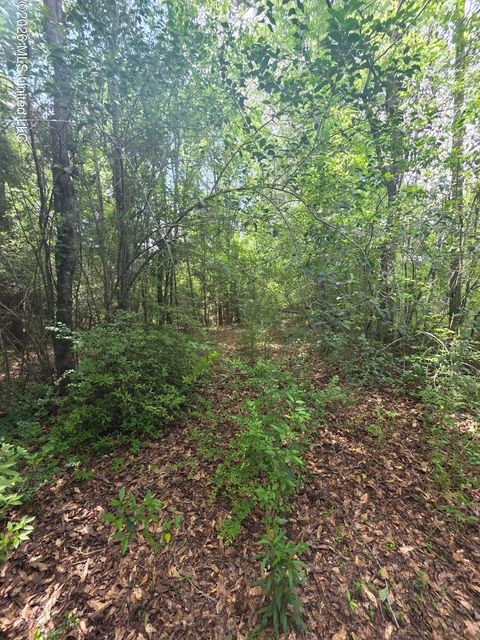 Vacant Land For Sale - 1004 Zone Road<br/> Pike County, Magnolia, MS 39652