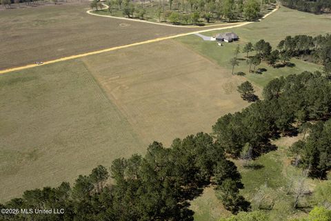 Vacant Land For Sale - LOT #4 Lenora Drive<br/> Carriere, MS 39426