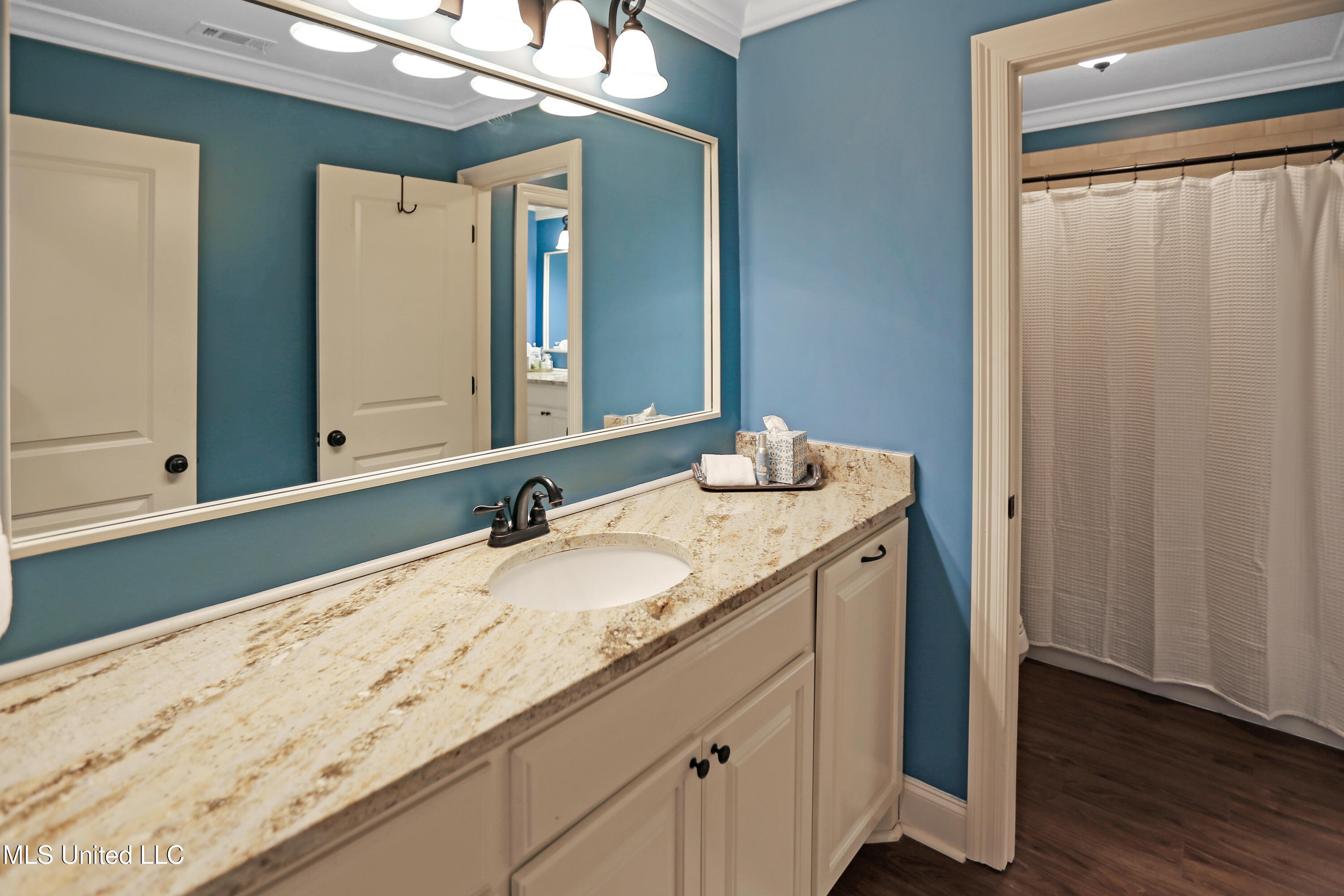 15 E Bay, Brandon, Mississippi image 39