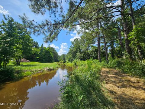 Vacant Land For Sale - 14 Jolly Roger Point<br/> Carriere, MS 39426
