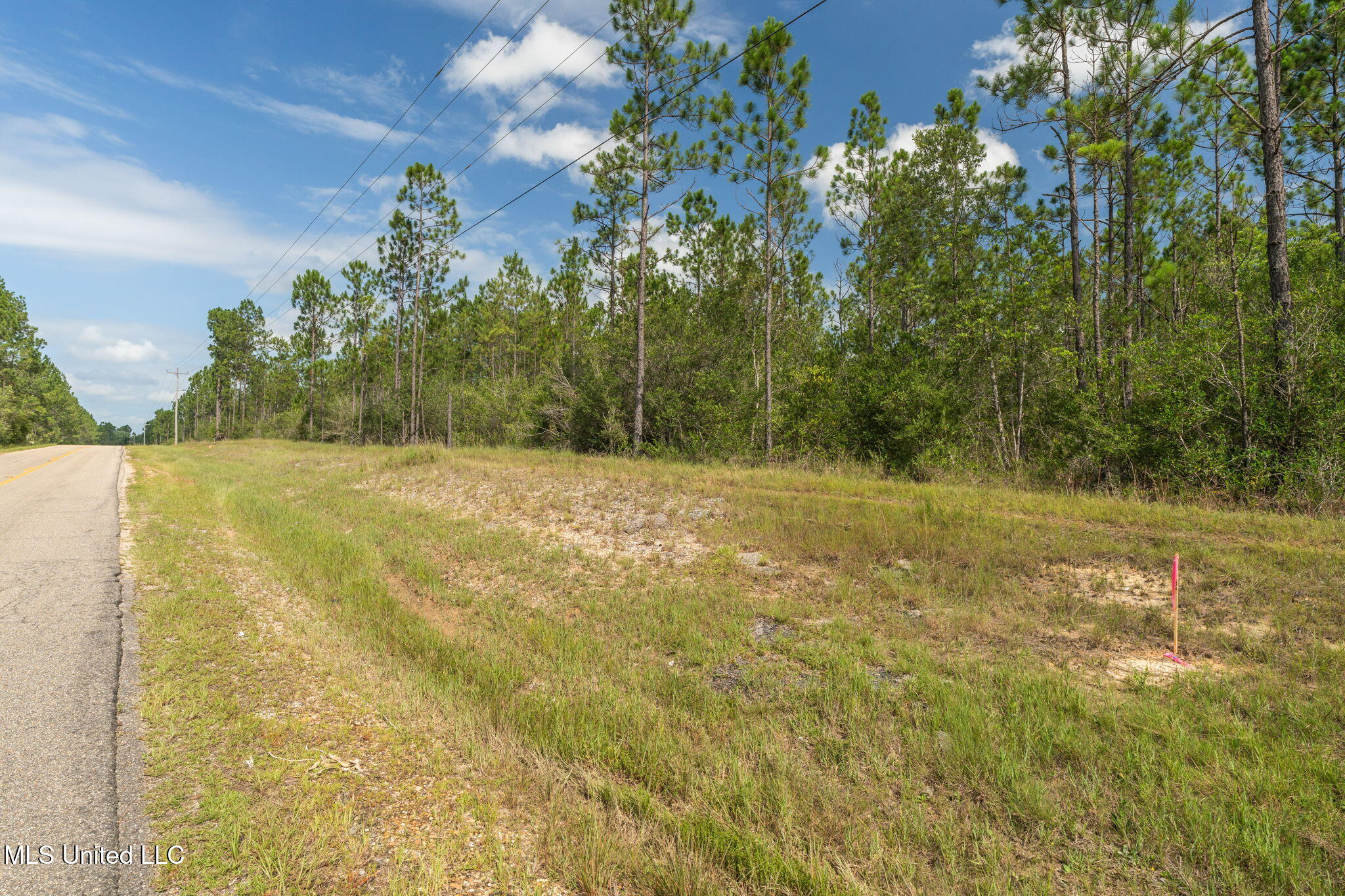 Herman Ladner Road, Saucier, Mississippi image 3