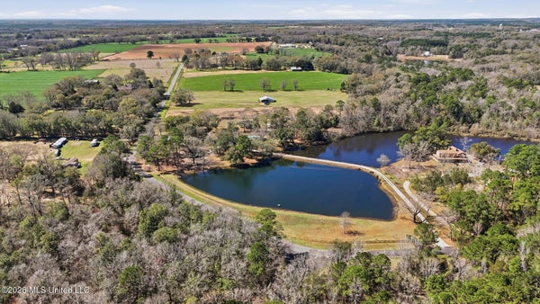 111 PARTINS RD, LUCEDALE, MS 39452 - Image 5e68481f2b6f1af3ebfe5ce313c1ea65/1703447028