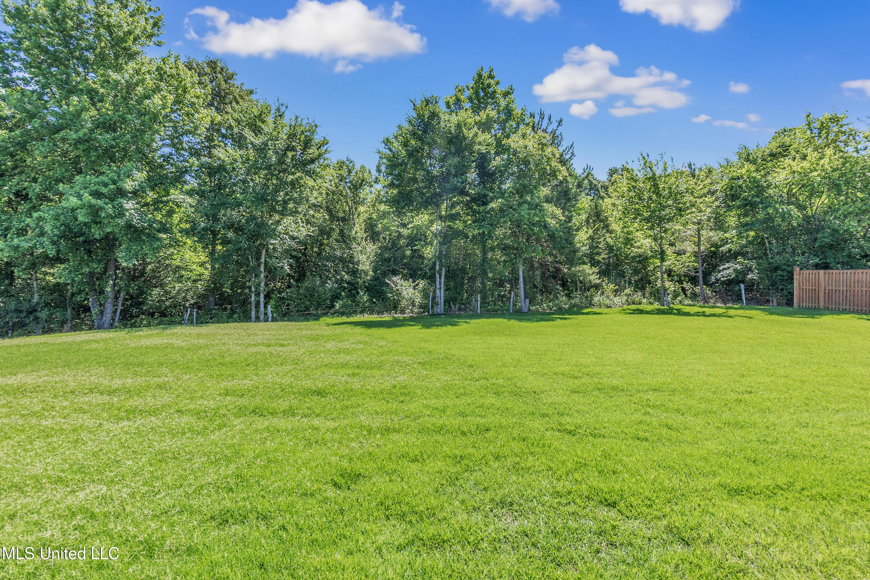 7216 Belle Manor Drive, Olive Branch, Mississippi image 26