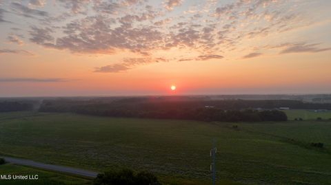 Vacant Land For Sale - N Sandhill Road<br/> Lena, MS 39094