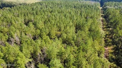 Vacant Land For Sale - 5464A Pecan Orchard Road<br/> Amite County, Liberty, MS 39645