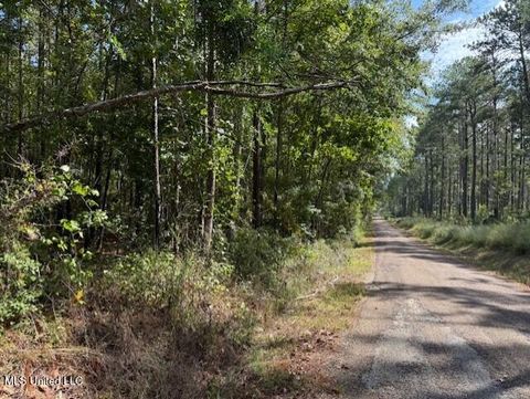 Vacant Land For Sale - 5464A Pecan Orchard Road<br/> Amite County, Liberty, MS 39645