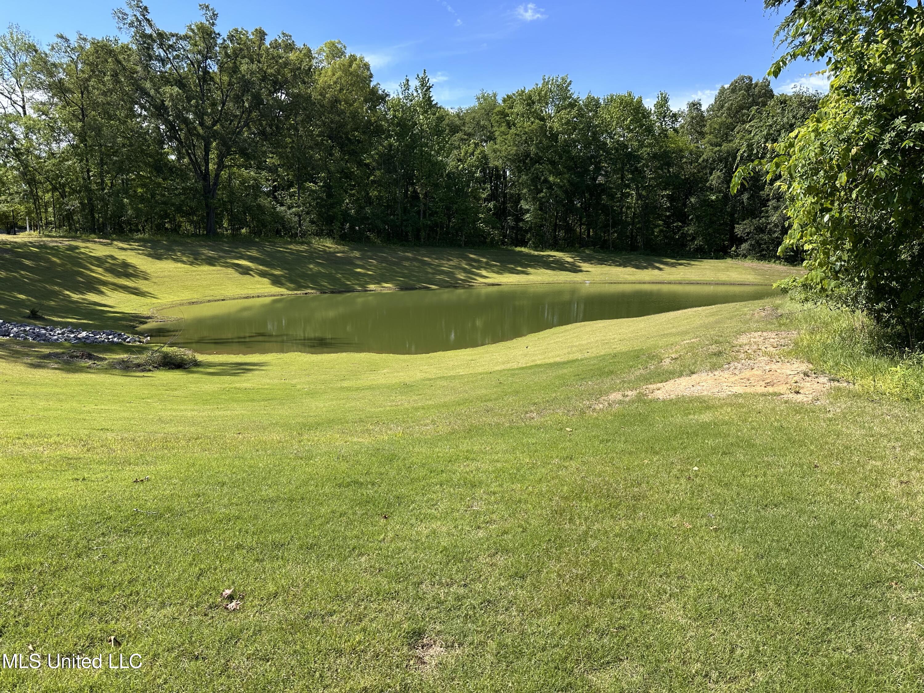 3548 Hatton Drive, Nesbit, Mississippi image 22