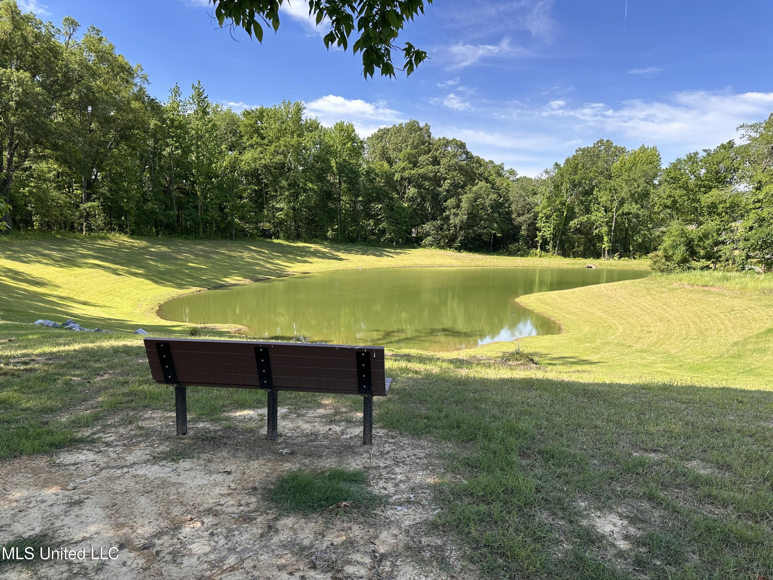 3548 Hatton Drive, Nesbit, Mississippi image 19