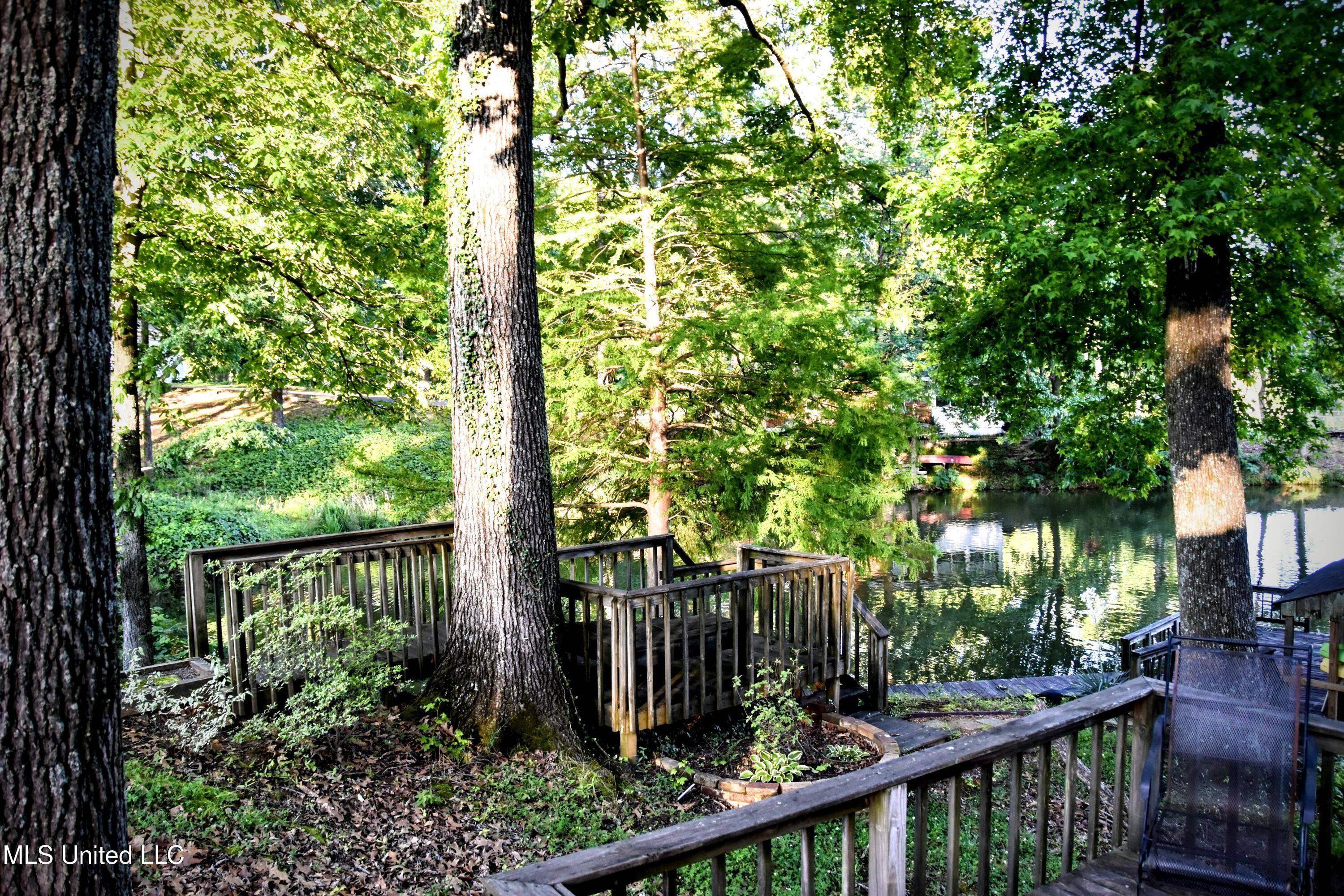 10991 High Road, Hernando, Mississippi image 23