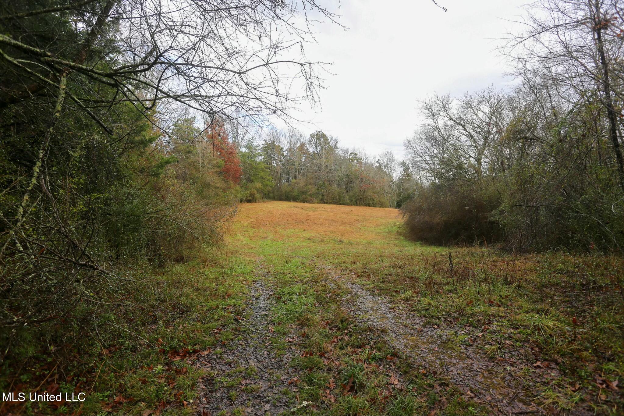 Learned Rd, Raymond, Mississippi image 8