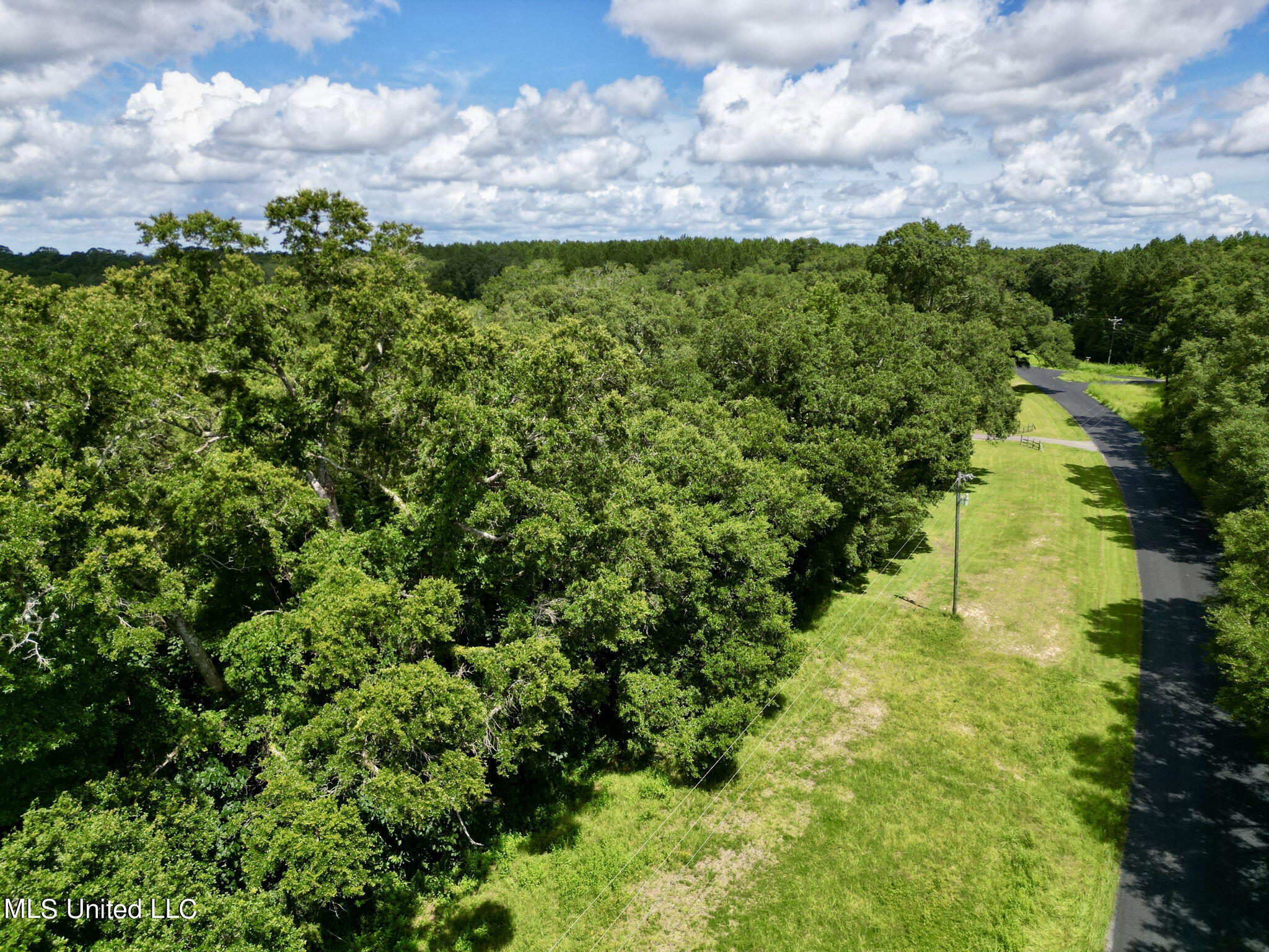 Gumpond Beall Road, Lumberton, Mississippi image 2