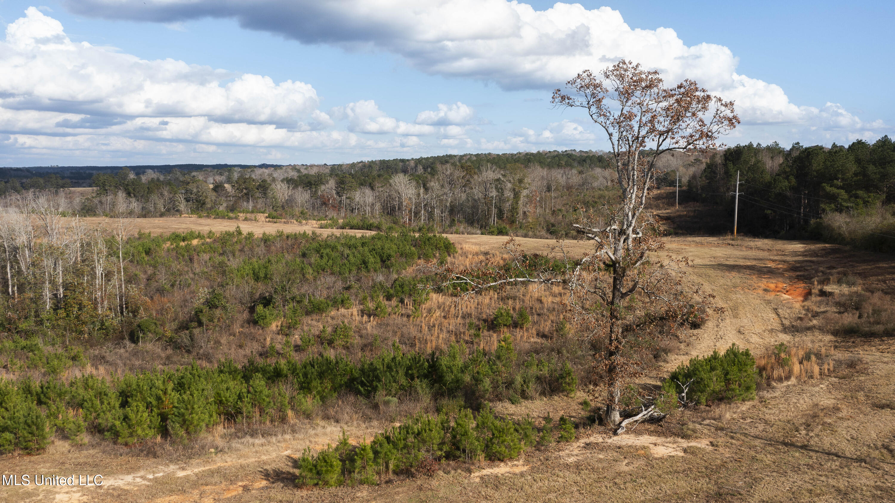 Highway 13, Mendenhall, Mississippi image 5
