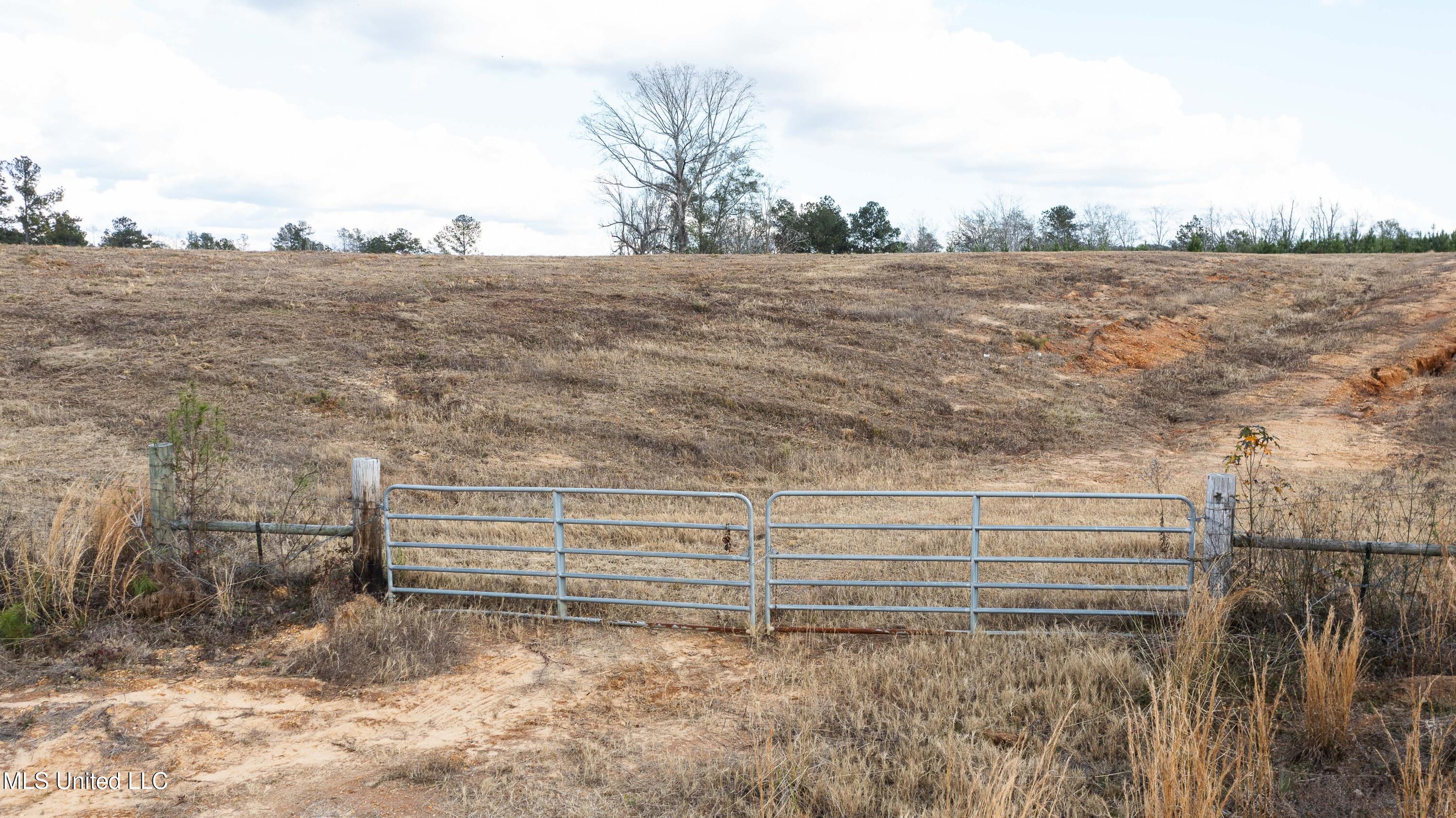 Highway 13, Mendenhall, Mississippi image 4