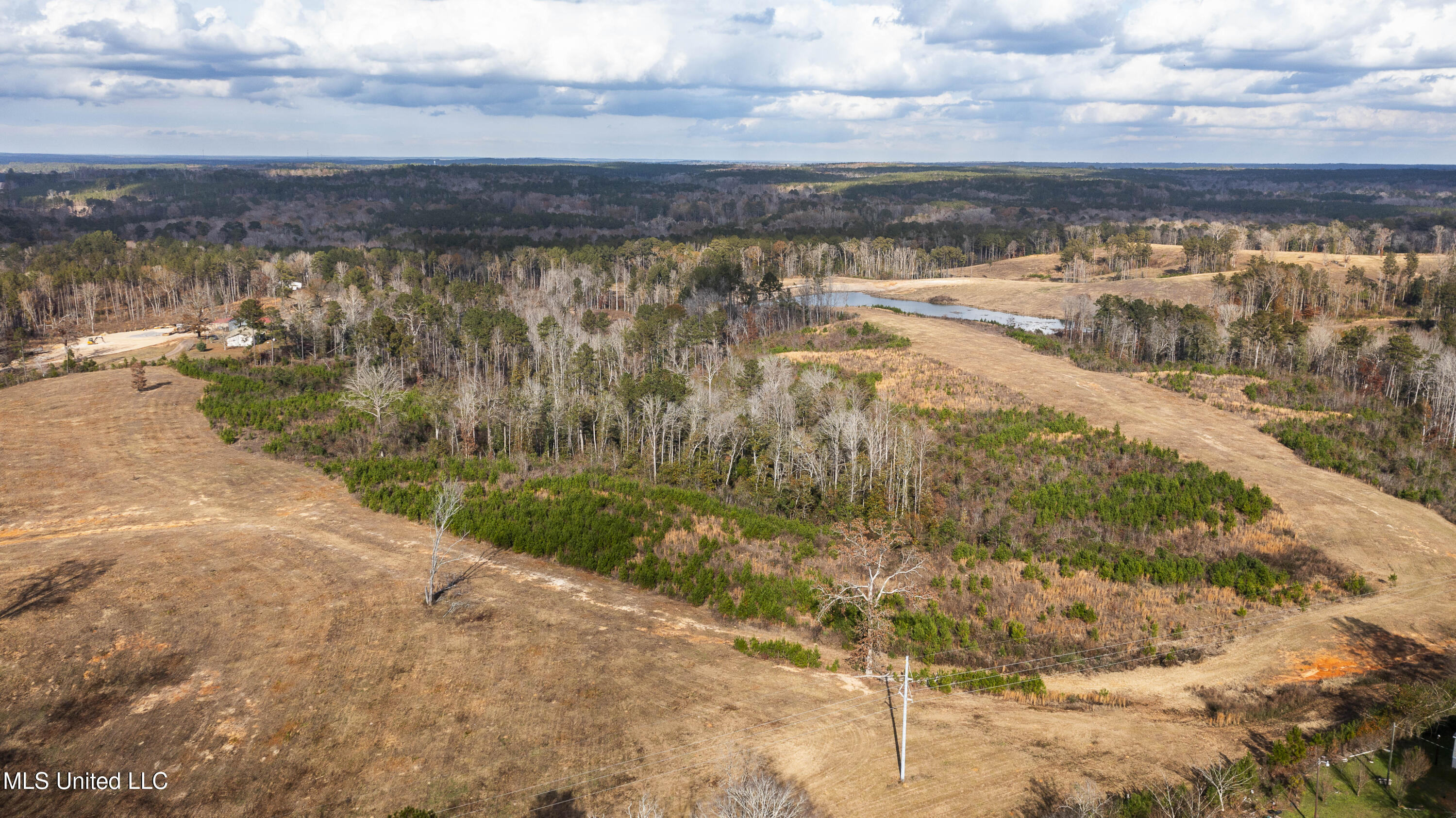 Highway 13, Mendenhall, Mississippi image 1