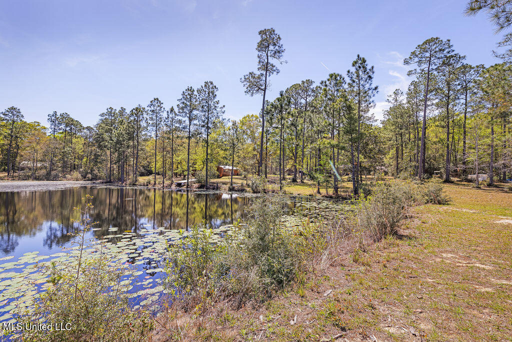3110 Dogpatch Road, Kiln, Mississippi image 13