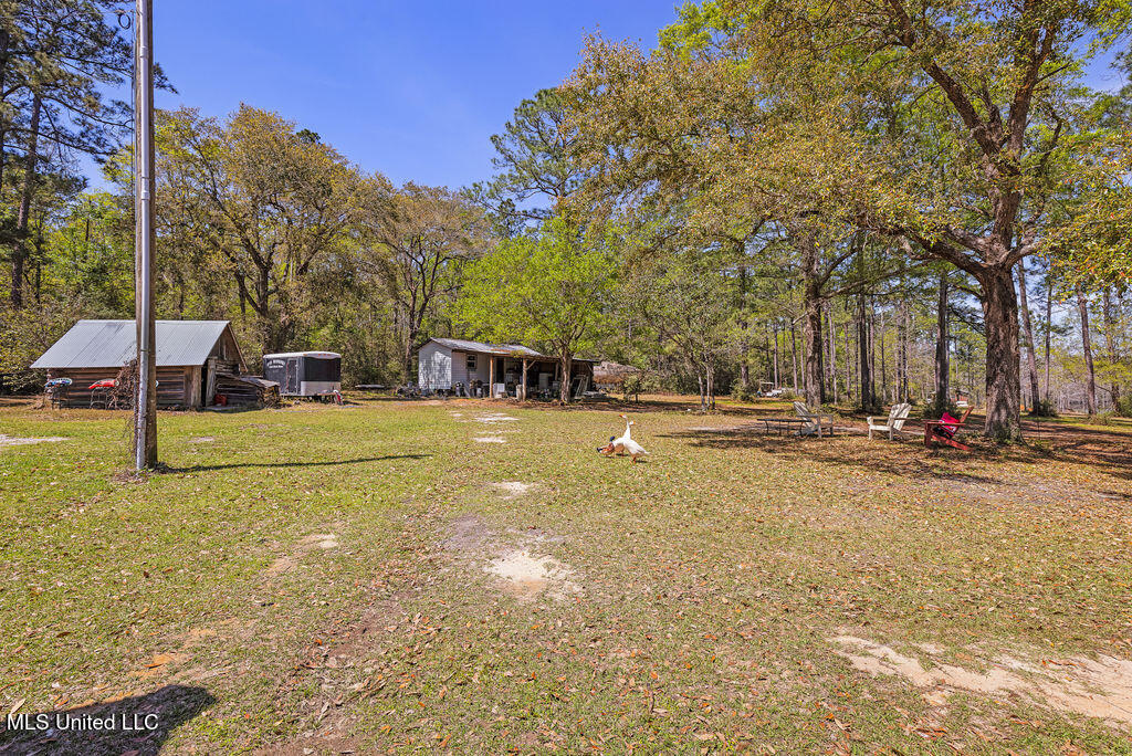 3110 Dogpatch Road, Kiln, Mississippi image 6