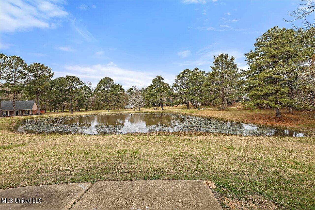 120 Timber Green Lane, Canton, Mississippi image 39