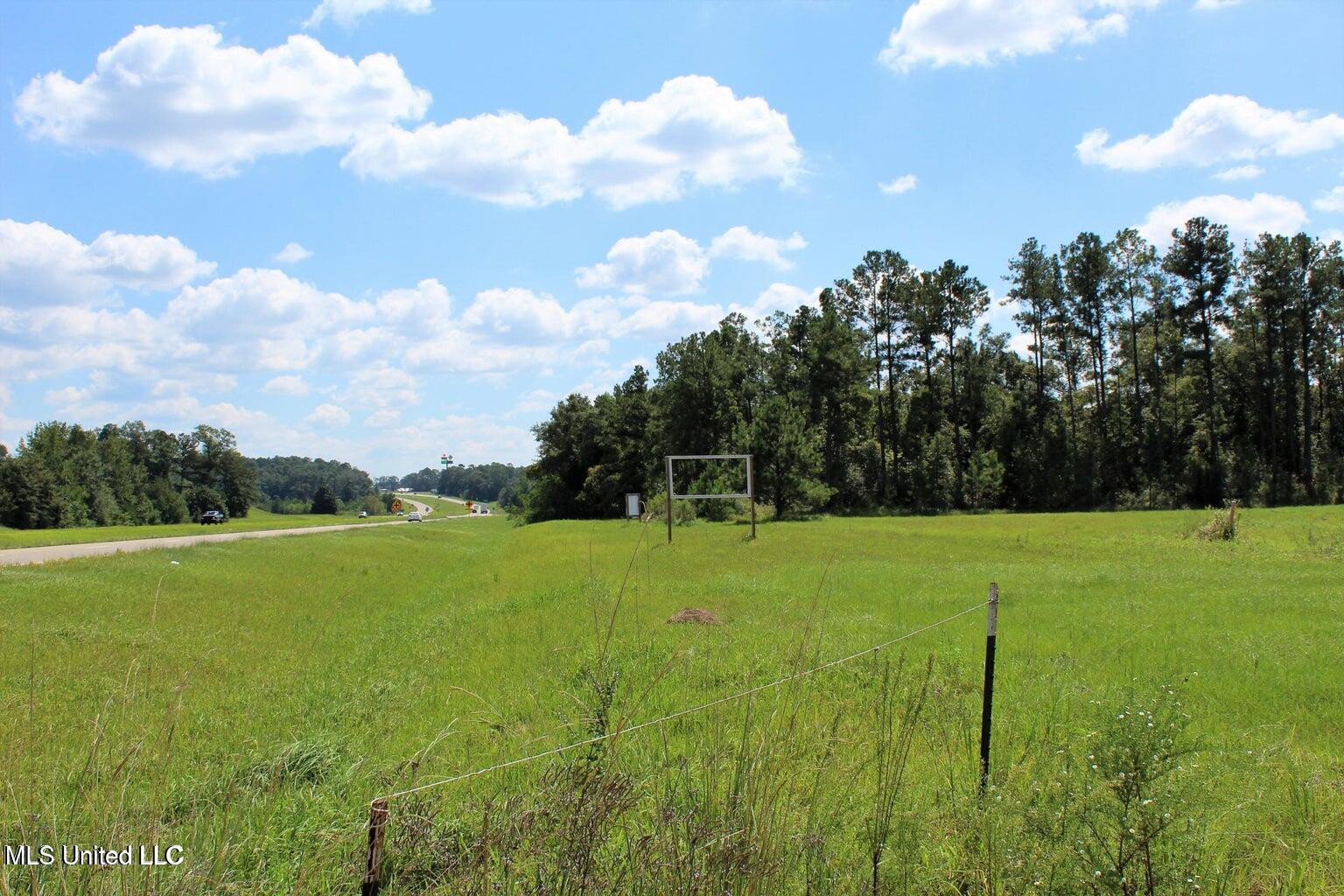 9.8 Acres Highway 98, Lucedale, Mississippi image 9