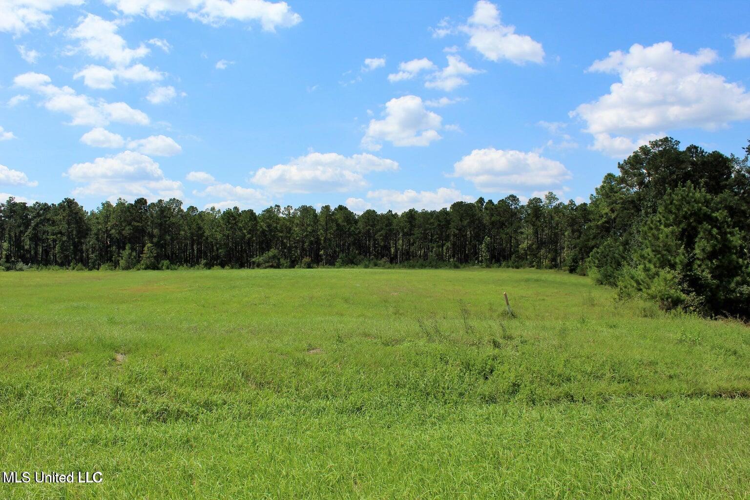 9.8 Acres Highway 98, Lucedale, Mississippi image 6