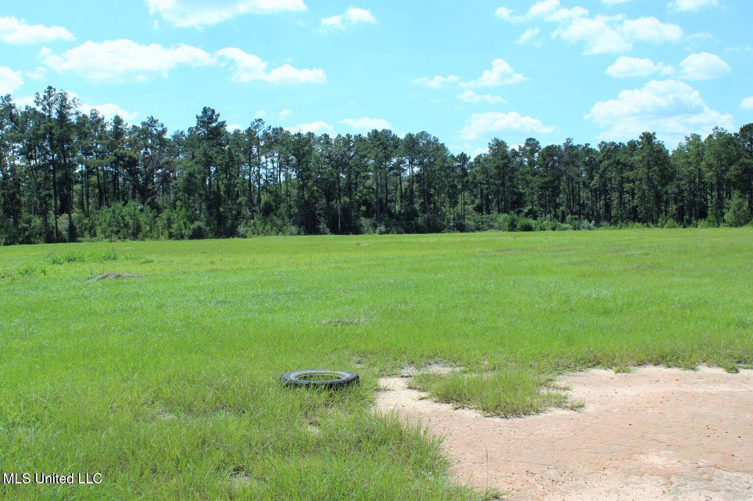 9.8 Acres Highway 98, Lucedale, Mississippi image 7