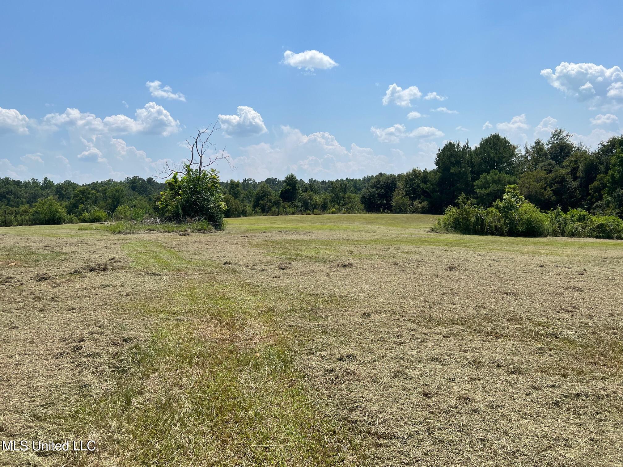 157 Sam Smith Road, Poplarville, Mississippi image 10