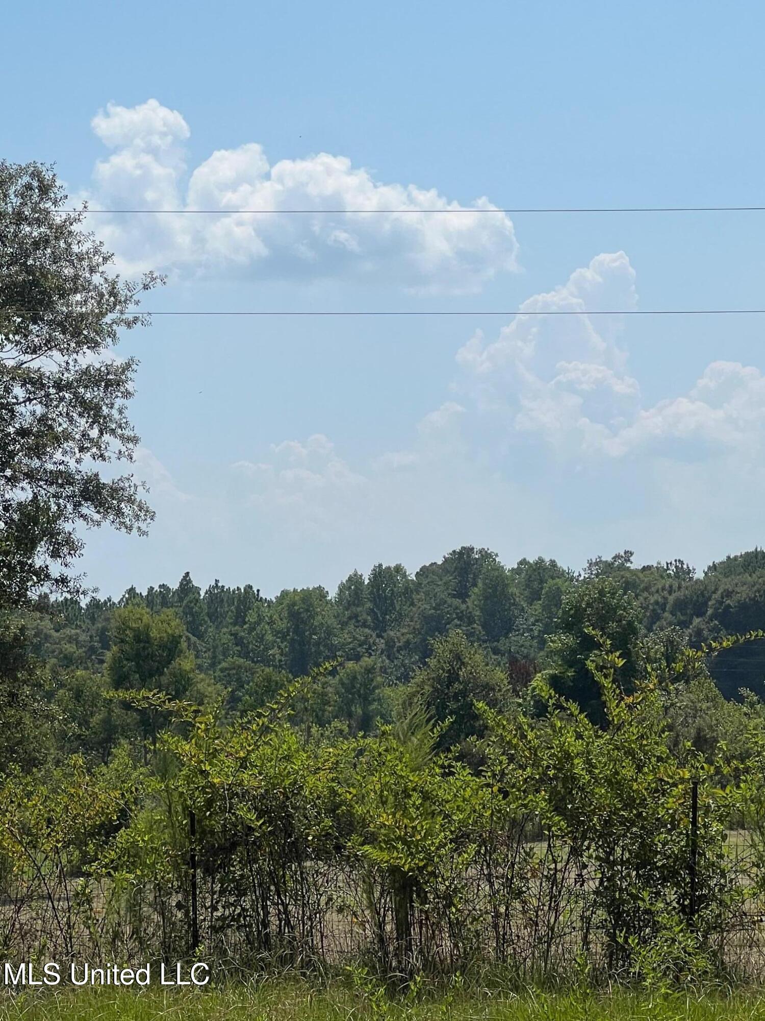 157 Sam Smith Road, Poplarville, Mississippi image 12