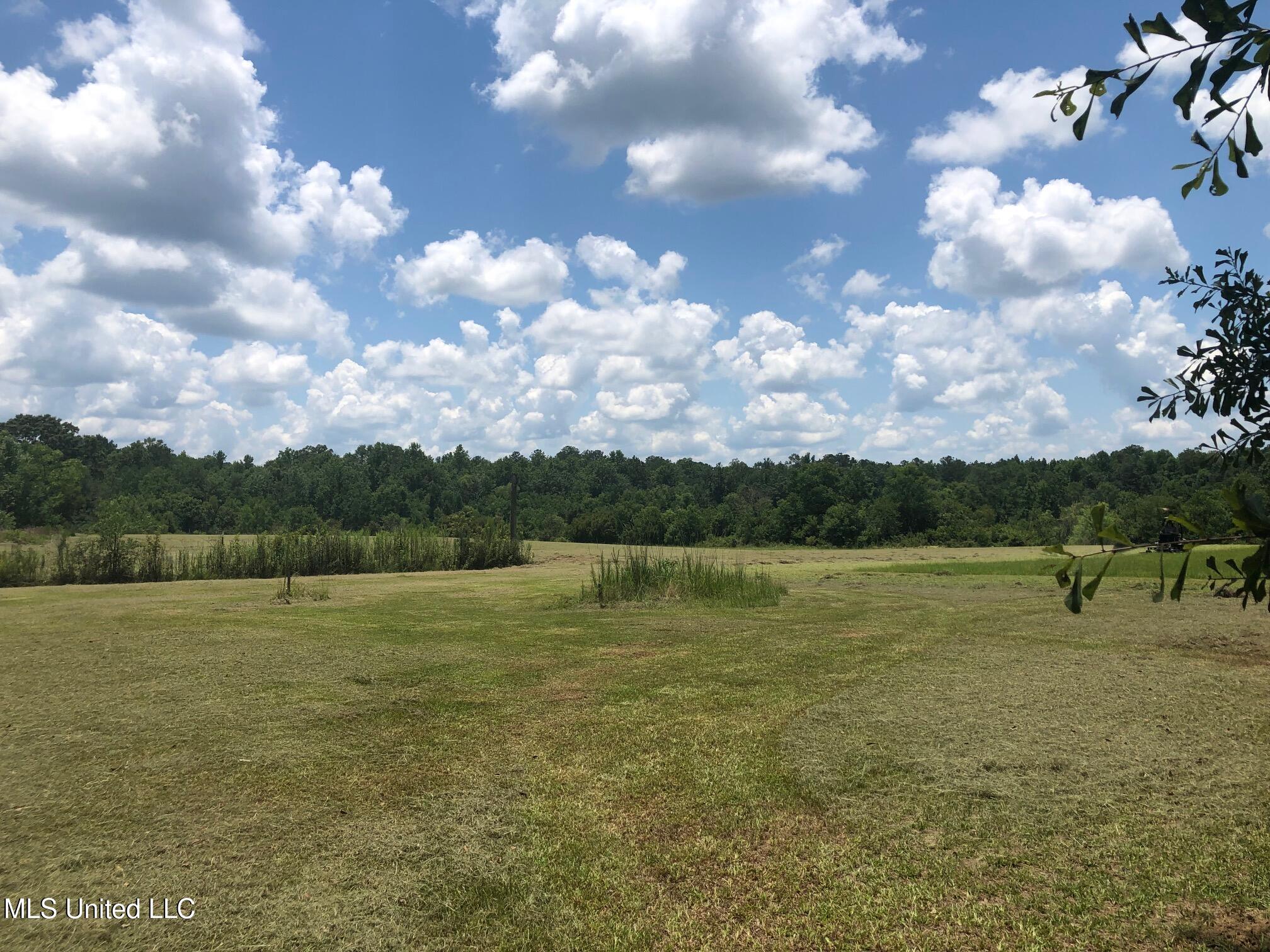 157 Sam Smith Road, Poplarville, Mississippi image 4