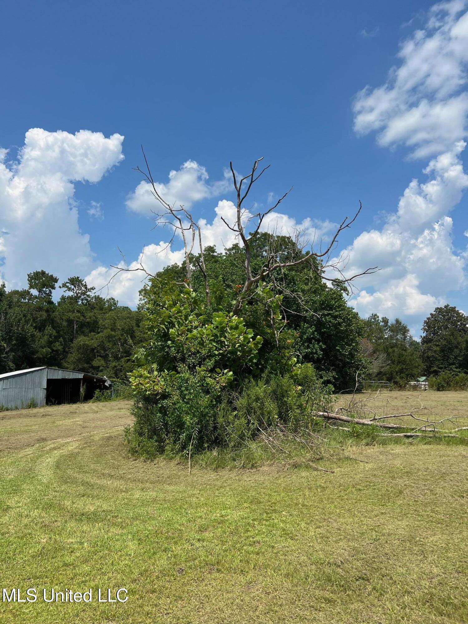 157 Sam Smith Road, Poplarville, Mississippi image 11