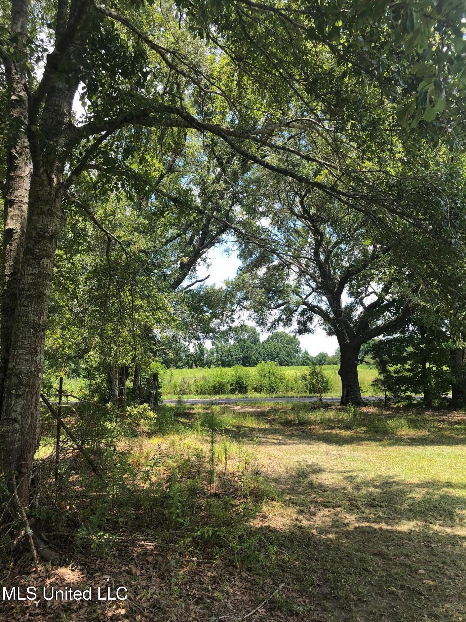 157 Sam Smith Road, Poplarville, Mississippi image 1