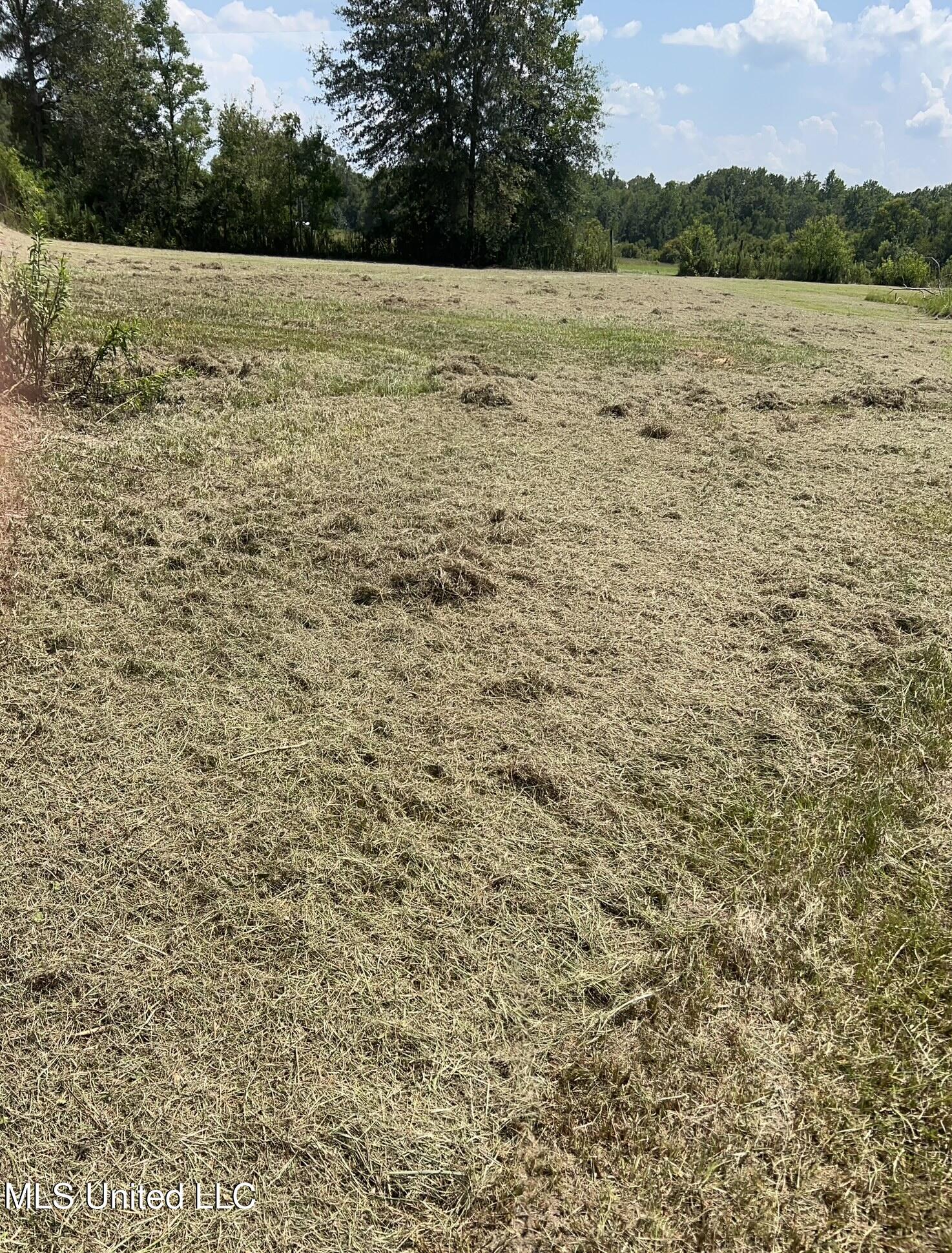 157 Sam Smith Road, Poplarville, Mississippi image 8