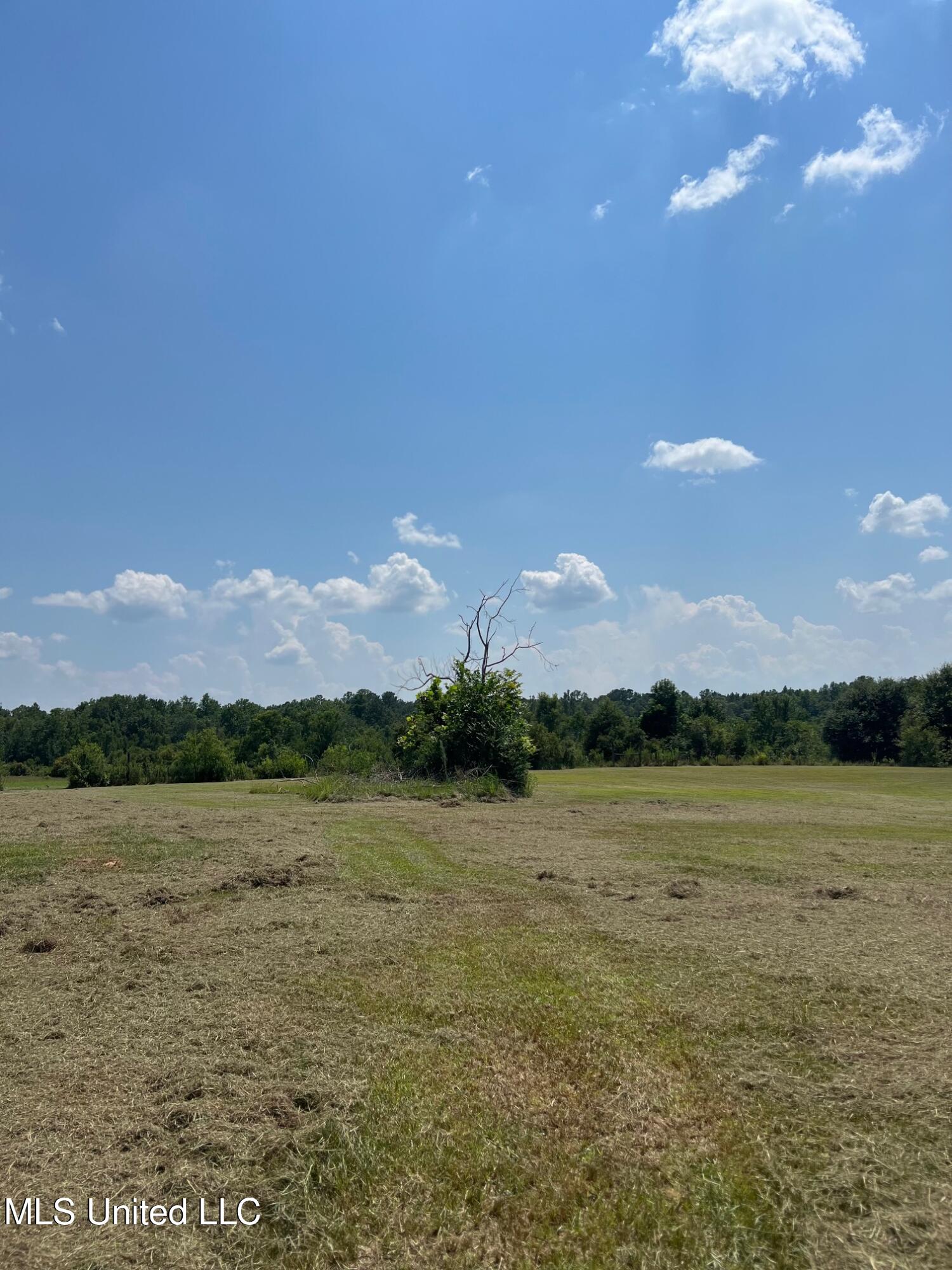 157 Sam Smith Road, Poplarville, Mississippi image 9