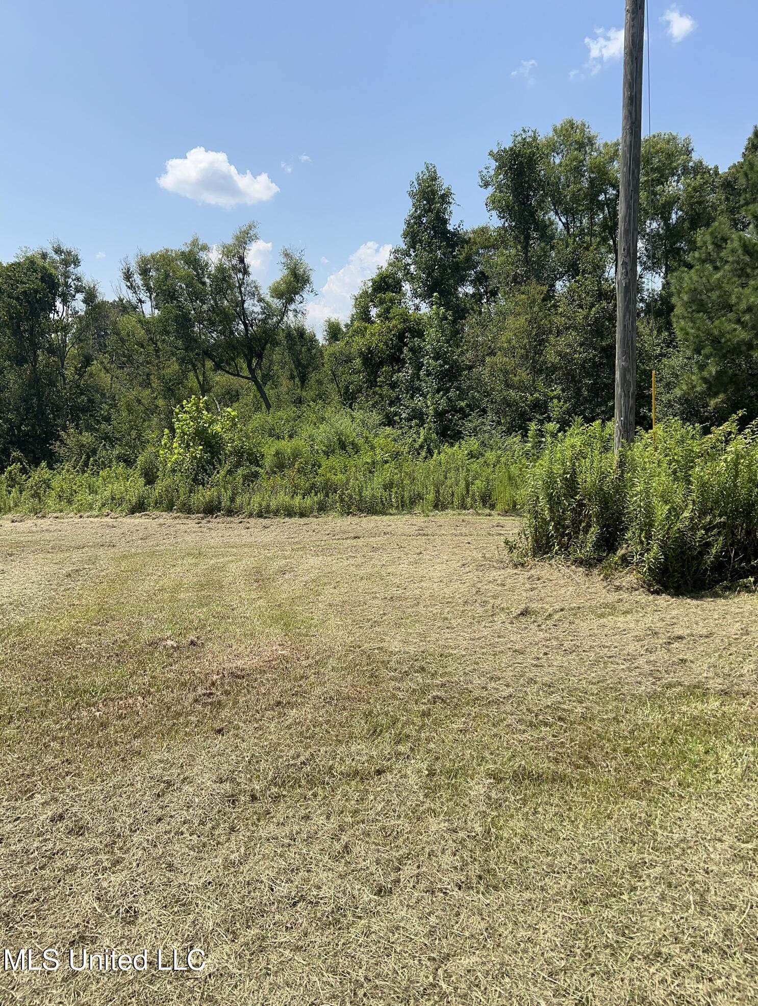 157 Sam Smith Road, Poplarville, Mississippi image 7
